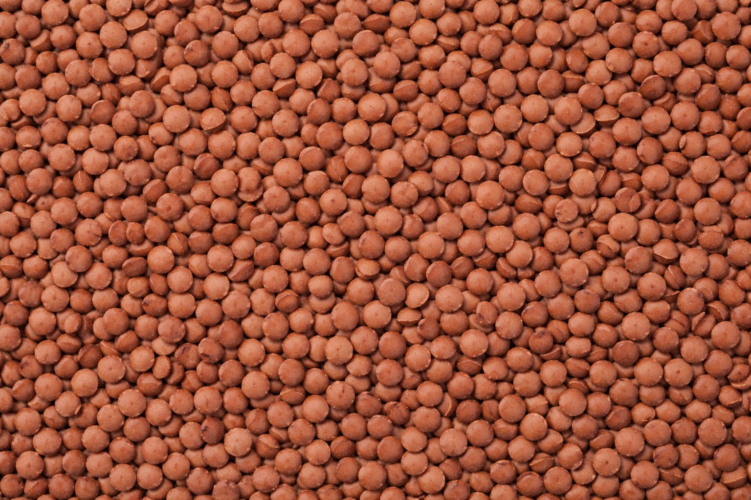 Split red lentils